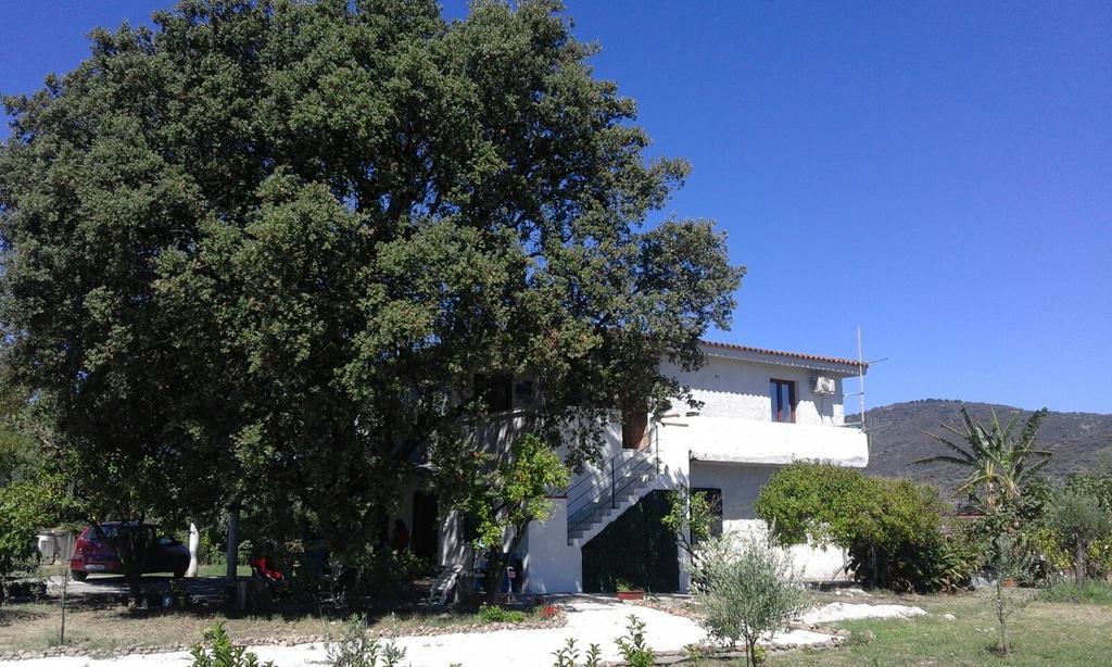Santu Paulu Country House 포사타 외부 사진